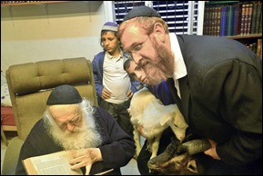 The Rabbi and the goat…